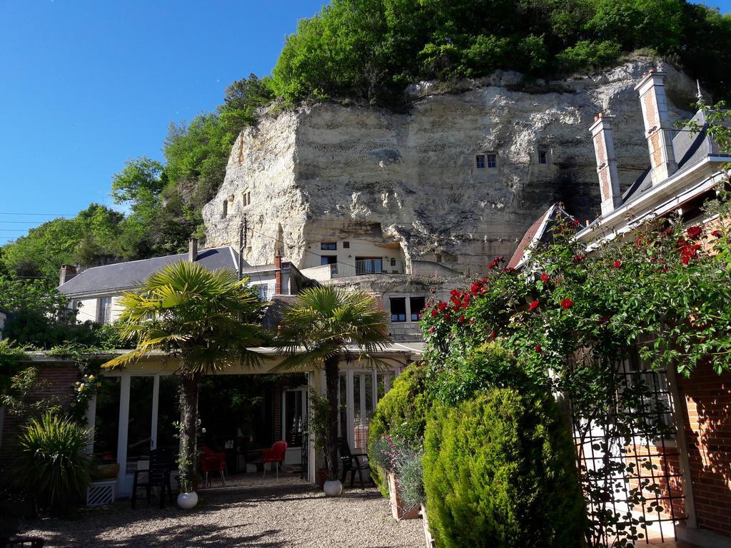 Le Vieux Vauvert Bed and Breakfast Rochecorbon Exterior foto