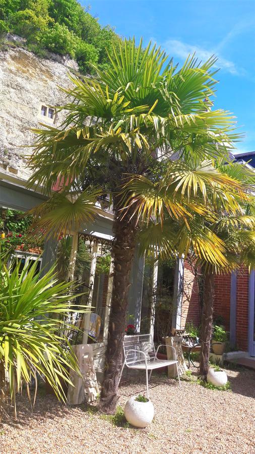 Le Vieux Vauvert Bed and Breakfast Rochecorbon Exterior foto