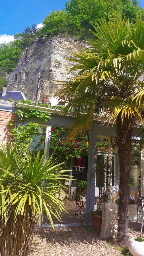 Le Vieux Vauvert Bed and Breakfast Rochecorbon Exterior foto