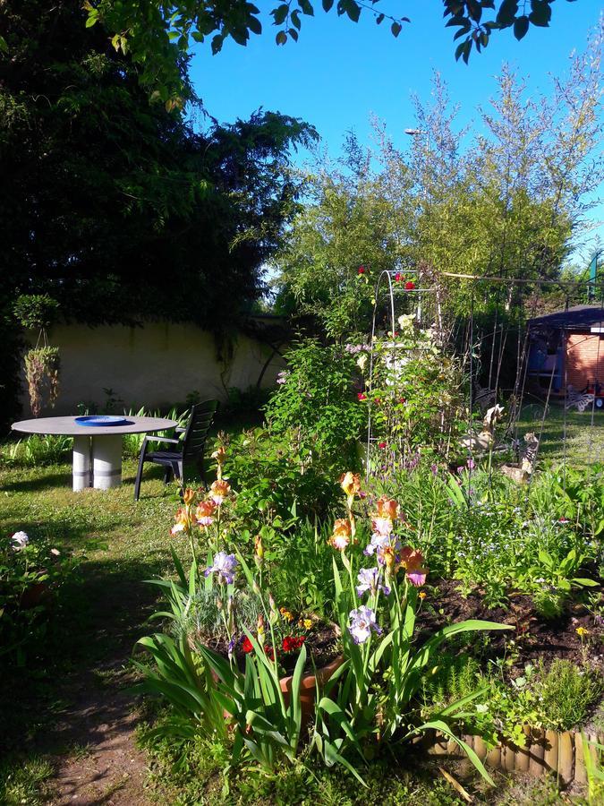 Le Vieux Vauvert Bed and Breakfast Rochecorbon Exterior foto